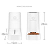 Automatic Pet Food & Water Dispenser